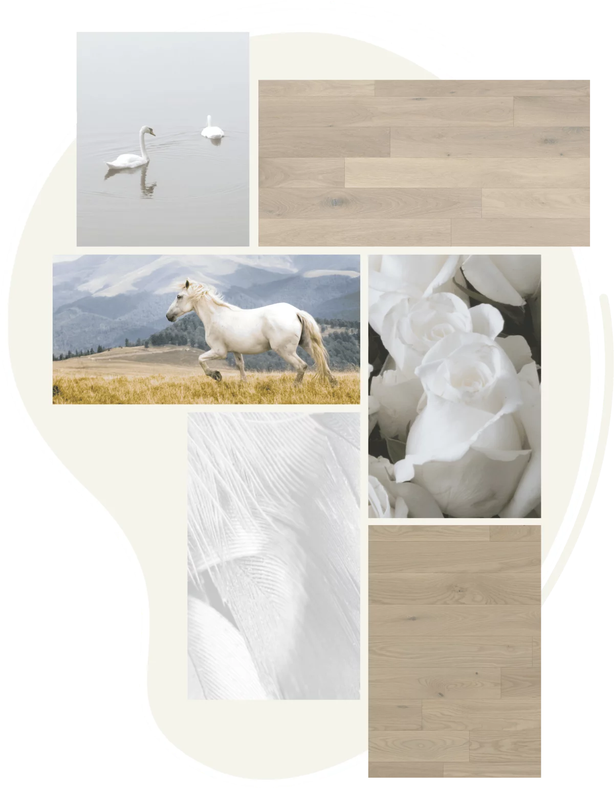 Collage of white horse, white flower, swans, and Blanc hardwood floors
