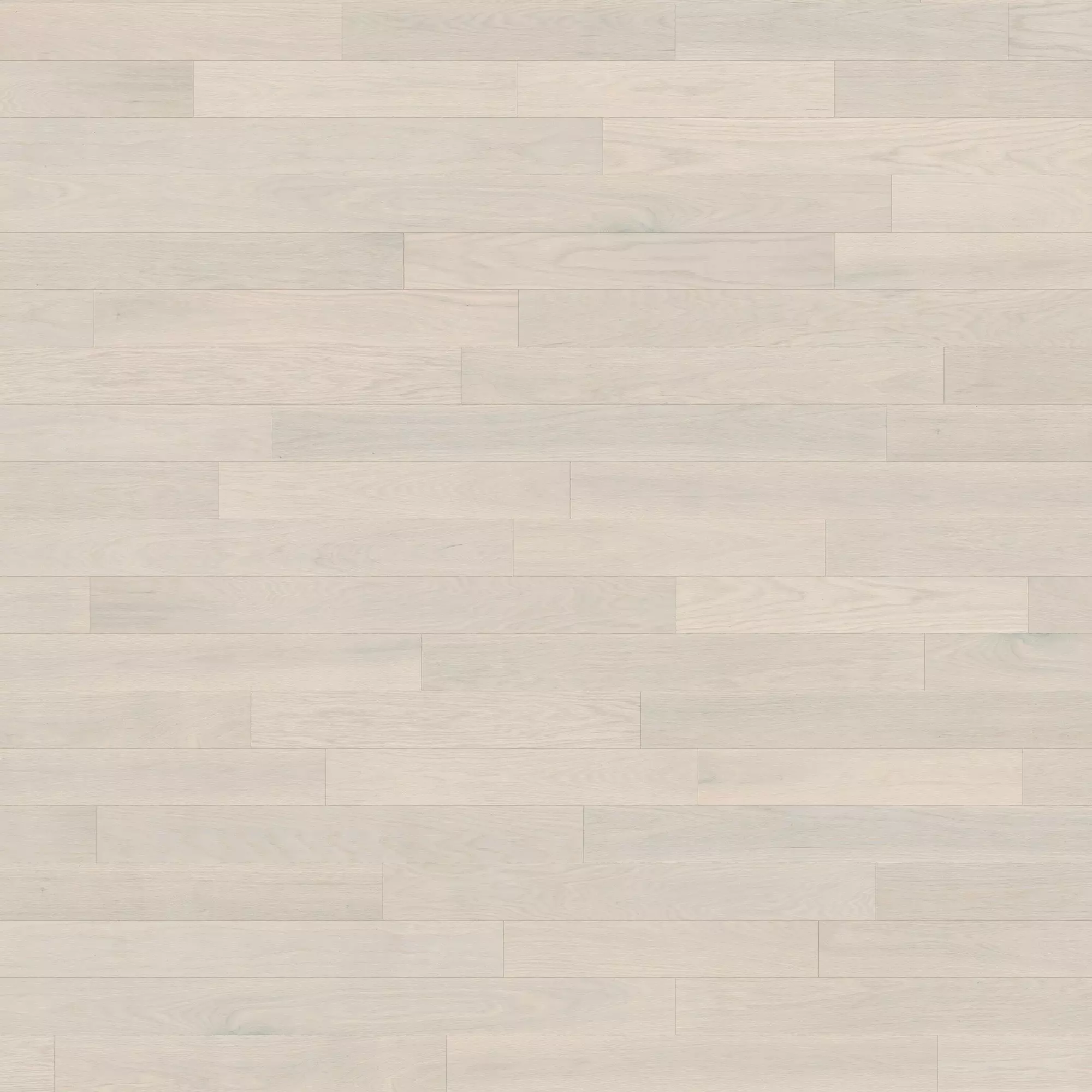 White hardwood floors