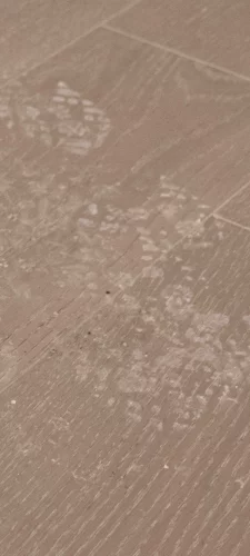 Surface dirt or lightly encrusted dirt