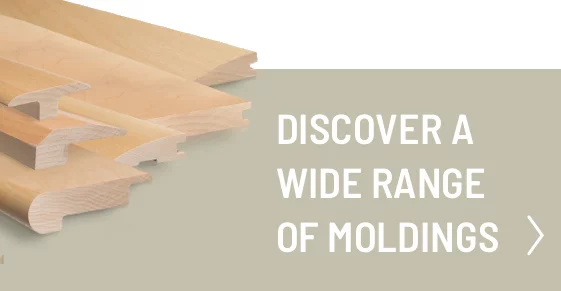Discover a wide range of moldings